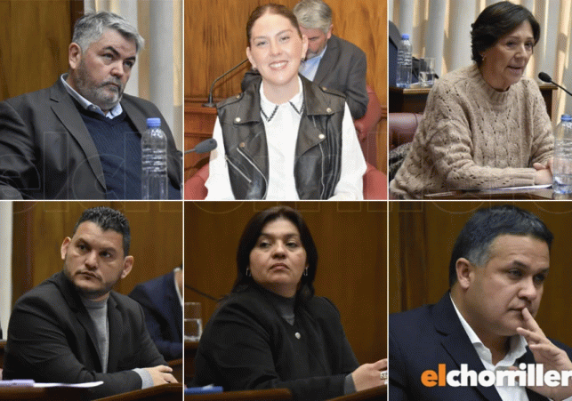 Collage-senadores-930x610