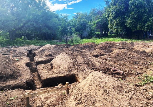 El Rosedal y Los Troncos