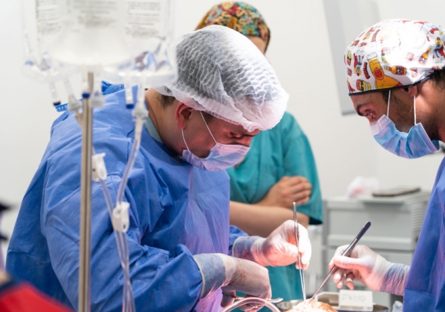 El Sistema Público de Salud de la provincia realizó tres nuevos trasplantes