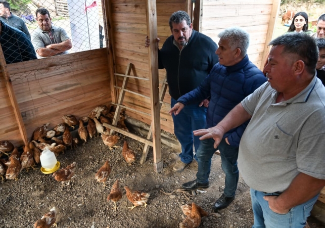 WhatsApp-Image-2025-10-29-at-18