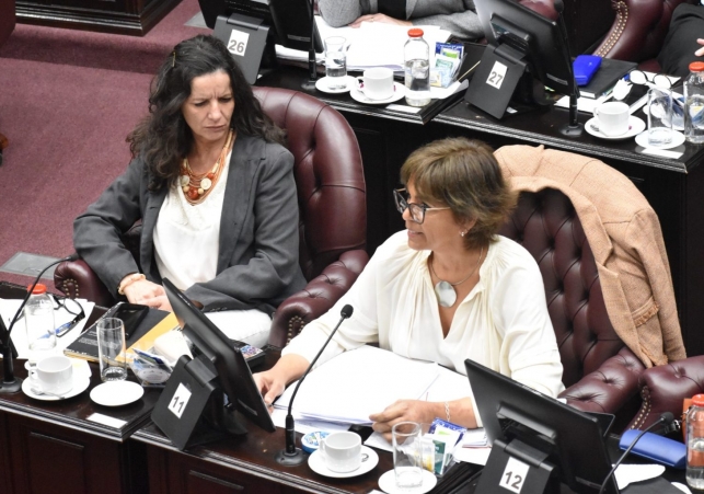 WhatsApp-Image-2025-11-12-at-3