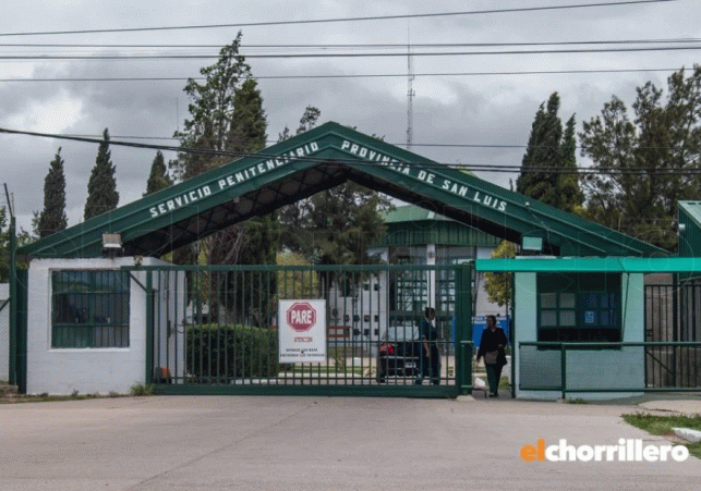 WhatsApp-Image-2026-02-09-at-13