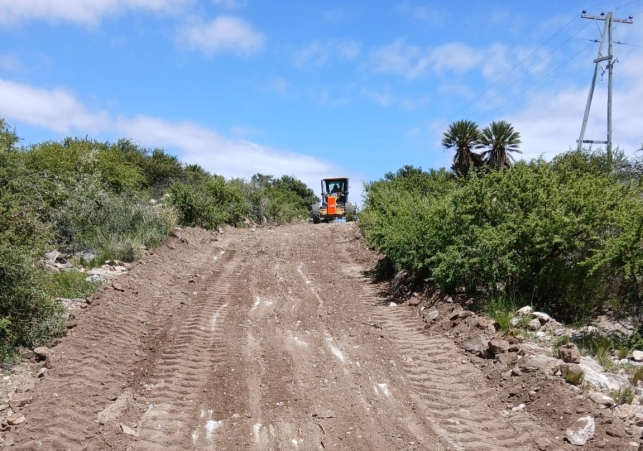 WhatsApp-Image-2026-02-11-at-20