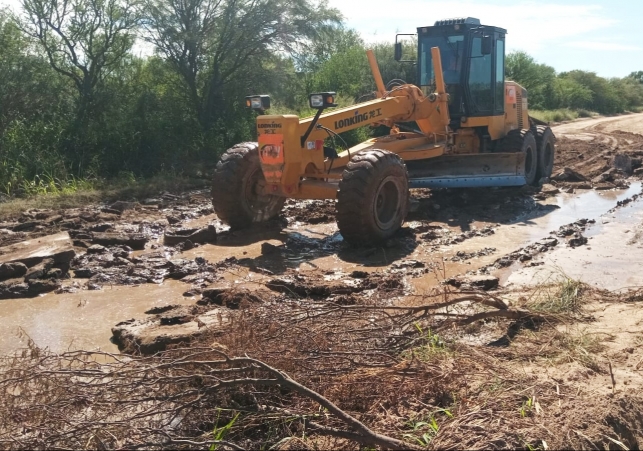 WhatsApp-Image-2026-03-19-at-19