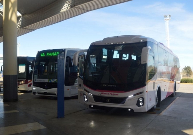 nuevos-colectivos-930x618