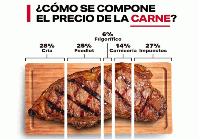 Carn1-930x621