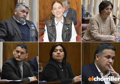 Collage-senadores-930x610