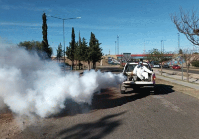 Fumigacion-SL-ANSL-930x523