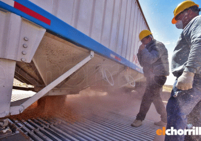 Productores-16-930x523