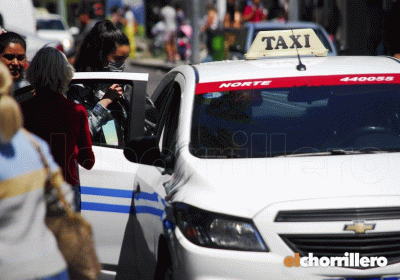 Taxis-8-930x622 (1)