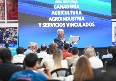 WhatsApp-Image-2026-02-28-at-14