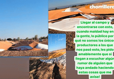 imagen-1-930x610