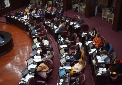 lesgislatura diputadis