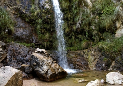 saltos-