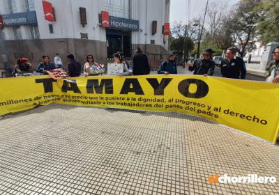 tamayo-3-930x610
